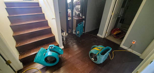 Trusted Durand, WI Water damage restoration Experts