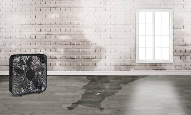Best Water damage restoration near me  in Durand, WI