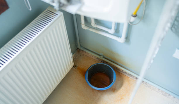 Best Water damage contractors near me  in Durand, WI